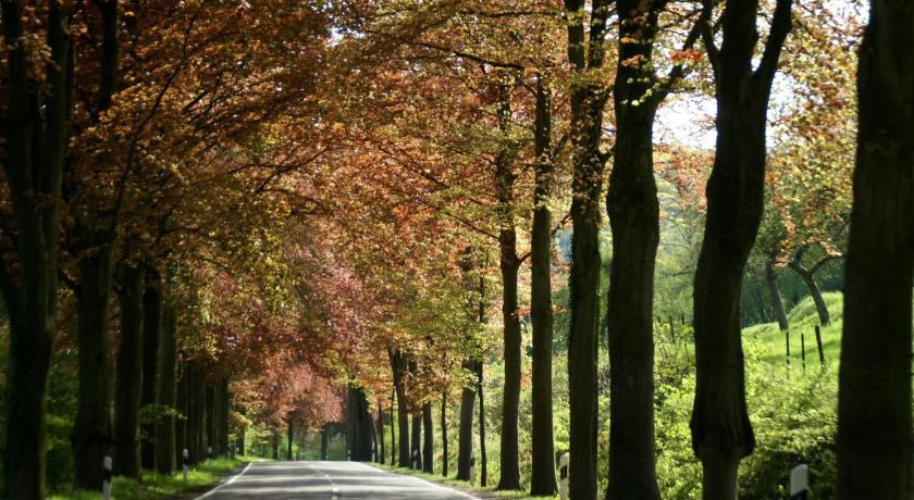 Отель Altes Zollhaus Naehe Luxemburg Ammeldingen an der Our Экстерьер фото